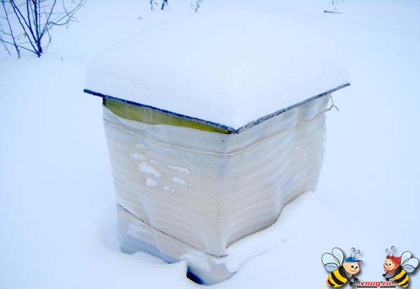 Пчёлы зимуют в улье под снегом