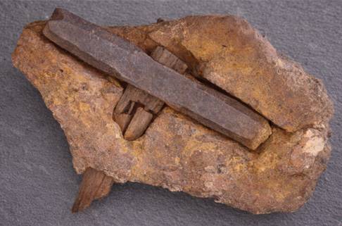 ���������� �������